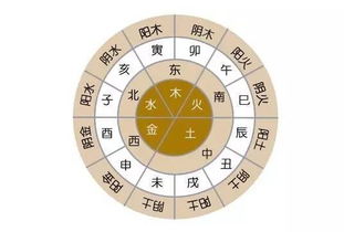 八字喜用神择日(八字喜用神择日法)
