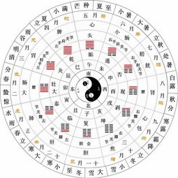 金喜用神忌什么(喜用神为金忌讳什么颜色)