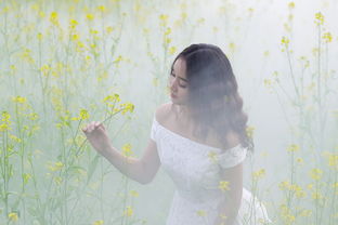 八字纯阳的女命好不好
