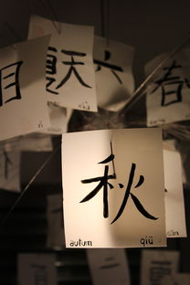 命里不缺钱的八字