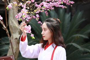走财星运是什么意思