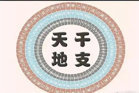 ​八字地支重要还是天干重要