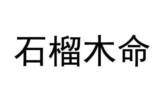 纳音石榴木命是什么意思