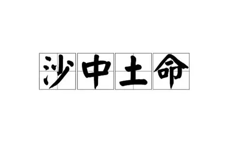 沙中土命好吗