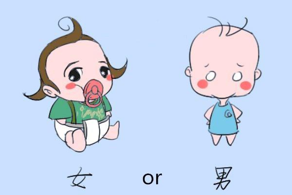 生辰八字如何查生男生女