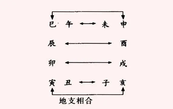 八字十二地支六合详解