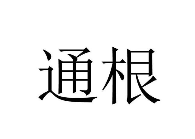 八字十神通根是啥意思