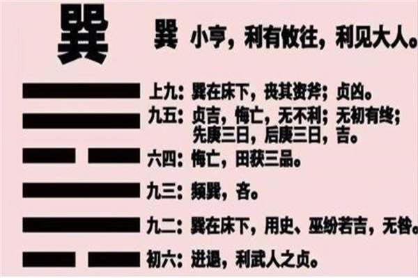 六爻中八卦巽卦取象技巧