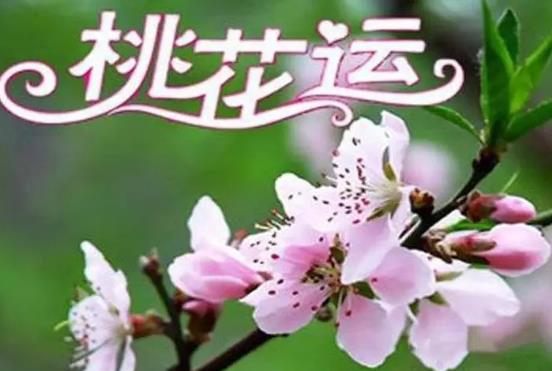 如何看你八字带哪种桃花