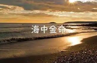 海中金命的性格怎么样