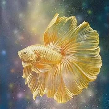 女命金水旺的人好不好