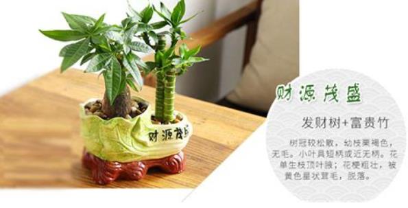 旺偏财的办公室风水布局