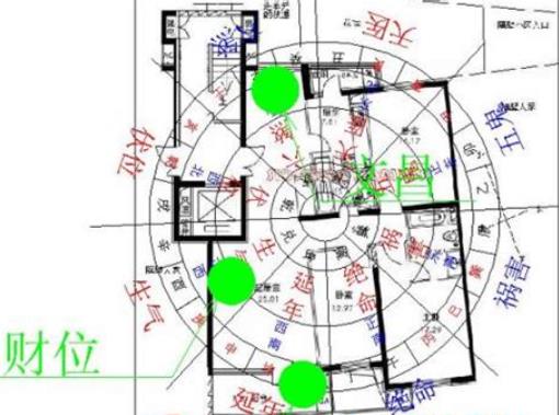 客厅摆放什么旺家财运