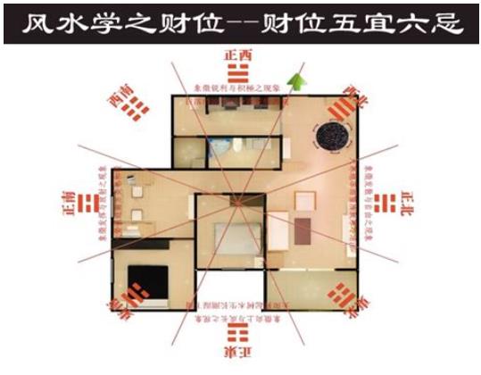 客厅摆放什么旺家财运