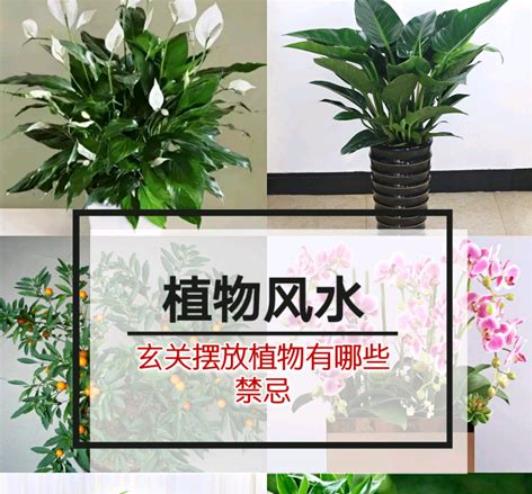住宅西南是什么卦位