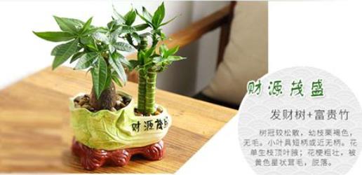 客厅招财风水布局禁忌