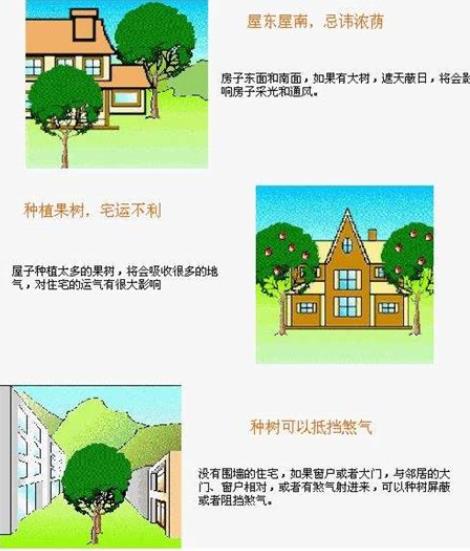 能让住宅运势变旺的风水有哪些