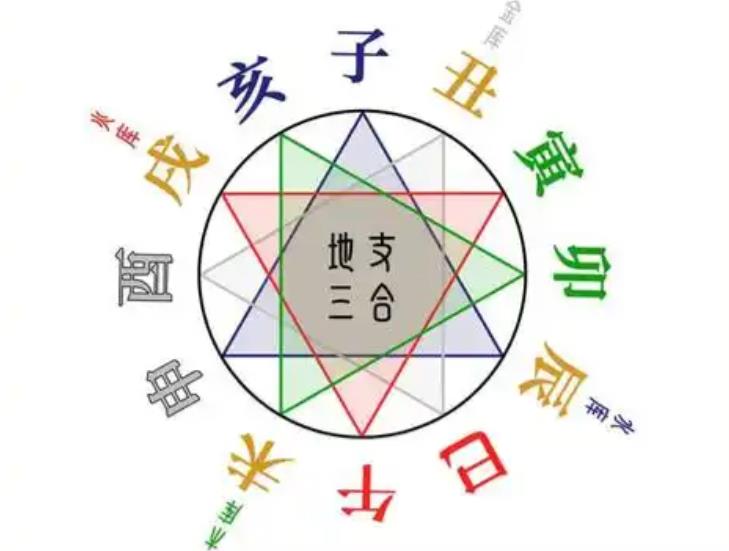 地支相合的八字好吗