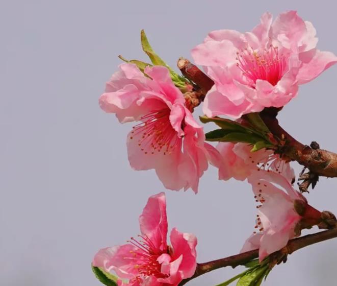 360截图20251106102614929.jpg 360截图20251106102614929.jpg