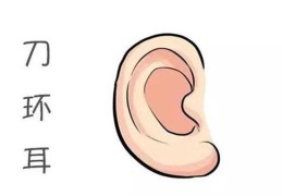 耳朵特征看是否富贵