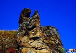 己土日元生于各月