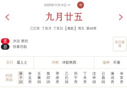 2025年11月14日每日五行穿衣指数解读搭配