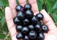 长寿的人都有哪些命理特征