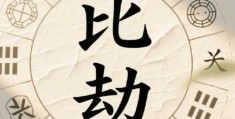 八字比劫为用神代表什么