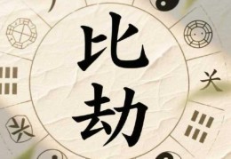 八字比劫为用神代表什么