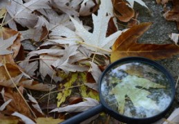 八字湿土与燥土的组合运用（八字湿土与燥土的组合运用方法）