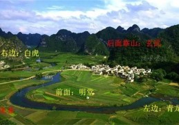 住宅旺福气的风水植物（住宅旺福气的风水植物有哪些）