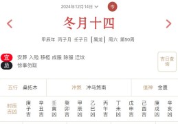 2024年12月14日每日五行穿衣指数解读搭配