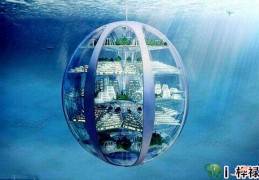 极致聪明的八字组合