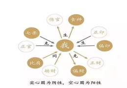 八字十神记忆口诀（八字十神记忆口诀大全）