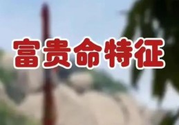 富贵命的八字特征