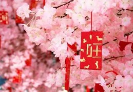 招桃花布局风水讲究