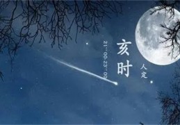 亥时出生的女人命好吗