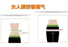 女人腰型看福气