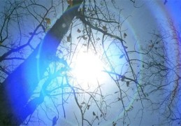 甲木人的命运是好是坏