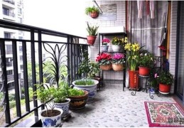 住宅阳台植物选择风水