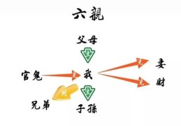 四柱断六亲技法