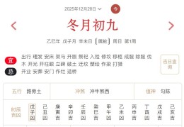 2025年12月28日每日五行穿衣指数解读搭配