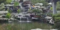 别墅假山鱼池风水布局风水