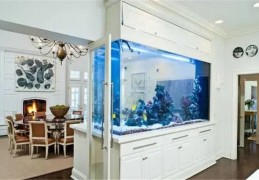 鱼缸摆放在客厅哪个位置好