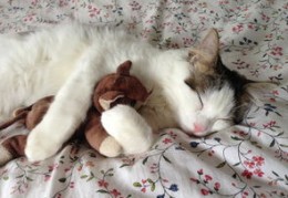 如何从八字看性格