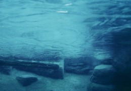 八字润下格是什么含义