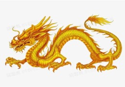 1988年出生的人命好吗