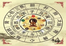 八字代表的身体象义大全