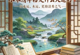 八字水木清华格是什么意思，八字水木清华格走什么大运好