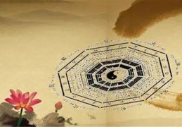 八字五行气势应用案例